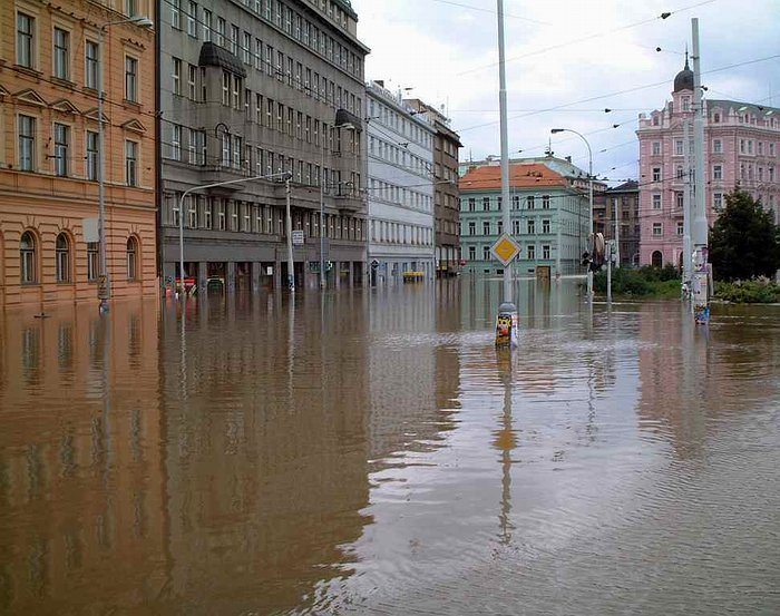 Kdo má přednost na hlavní ?