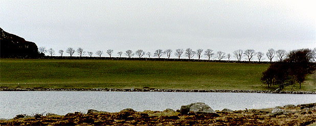 mracivy Renesøy