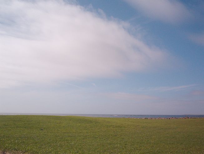 primorske pasienky