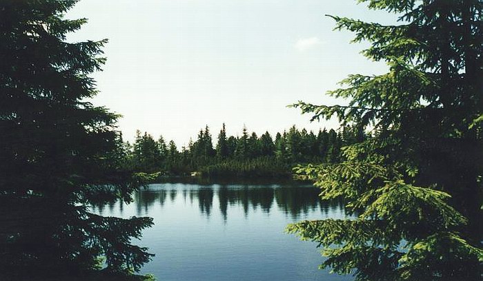Dragon lake toronto
