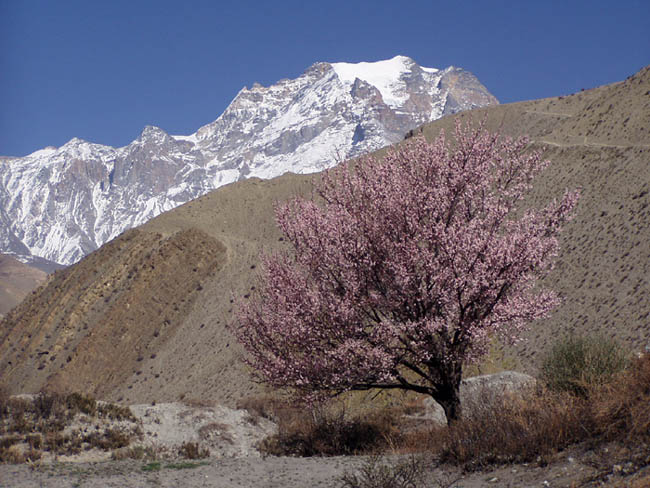 Všude lze žít - Muktinath (Nepal)