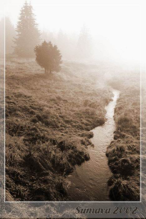 Ranni mlha v Kvildě