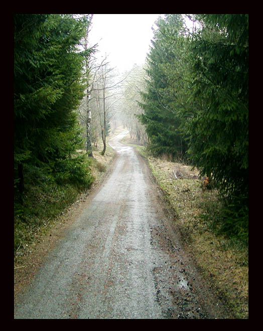 ...cesta z lesa...