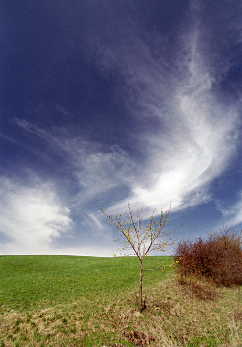 Oblohofka II
