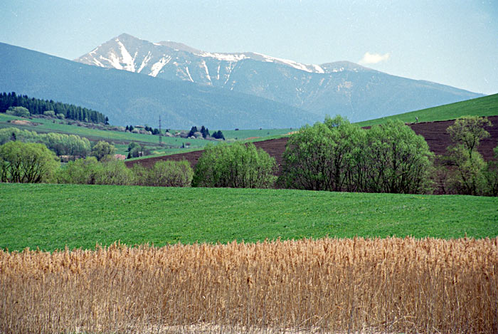 Priestor
