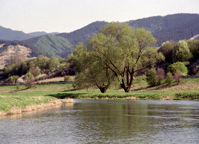 malá "krajinka"