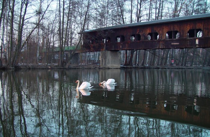 reflexe