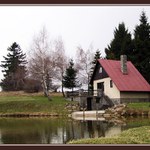 Na samotě u lesa...