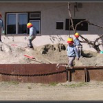 Na písku je živo...