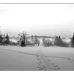 Nic pro milovníky tepla...