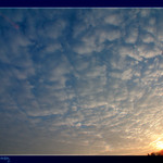 .: modro-bilo-zluto :.