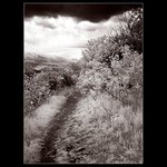 dnes tam není hezky...