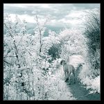 prošla kolem mě mlčky...