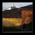 Vesnické zátiší III