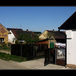 Vesnické zátiší IV