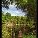 cesta k jezu ... větve :-))<br> .... (po povodních)