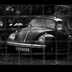 vw