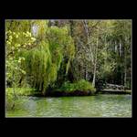 Kde v noci tančí víly....