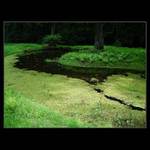 Kde v noci tančí víly II.