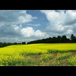 Májová klasika...... II.