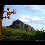 - JEN TAK - trochu jinak -