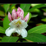 - JEN TAK - DNEŠNÍ -