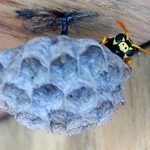 A ty potřebuješ co !?