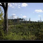 Okolí rodné vesnice II