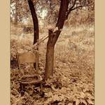 nic neslouží věčně