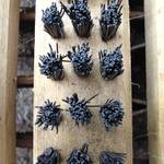 "Taková nějaká věc"