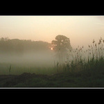 ... zamlžené ráno