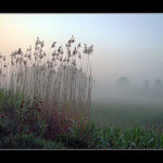 ... pohled za paraván