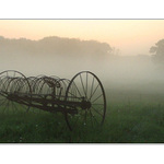 ... svědek časů II