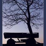 lonely traktorová vlečka 1.   ....