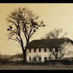 starý svet 6. ......