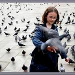 dievčatko s holubom ......