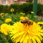 Jaro je tady a vše ostatní taky