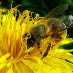 V pracovním nasazení