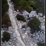 Kolmice kolmá pode mnou...