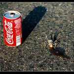 žízeň (smad - překl. pro slov. kolegy)