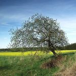 Jihočeská zastavení III