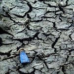 Na pytlácké stezce