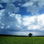 Jihočeská zastavení V.