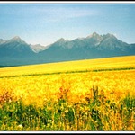 Vysoké Tatry