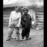 kamoši