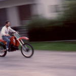 zkrocení divokého koně