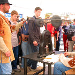 Peňazokazci v akcii