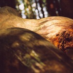 Variace na intimní téma