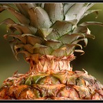 Ananas.