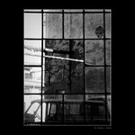 "Svět za tofárnovým oknem"